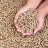 DINplus-A1-Holzpellets – Lieferung nach Deutschland und Europa