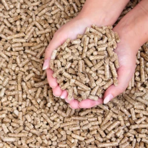Buy DINplus A1 wood pellets