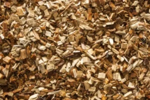 Buy oak wood chips