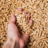 Trockene Holzpellets für die geschützte Brennstofflagerung