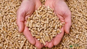 Buy wood pellets