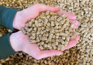 Straw Pellets for Horse Bedding